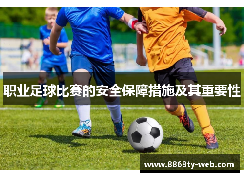 职业足球比赛的安全保障措施及其重要性