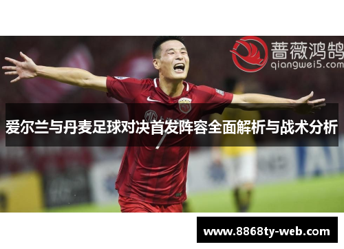 爱尔兰与丹麦足球对决首发阵容全面解析与战术分析